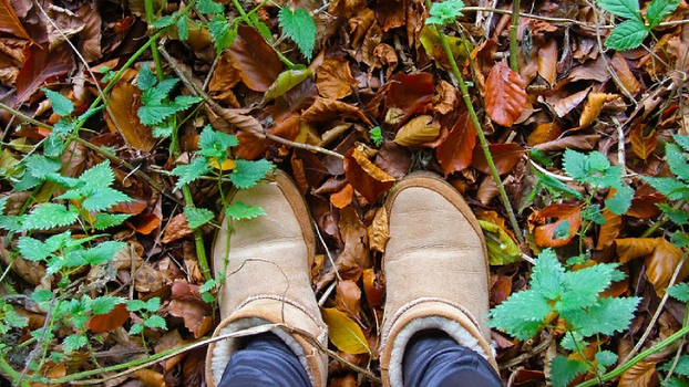 Осенняя и зимняя обувь: как ухаживать, чтобы служила долго