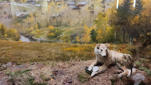 Музей природы Урала - что интересного для детей?
