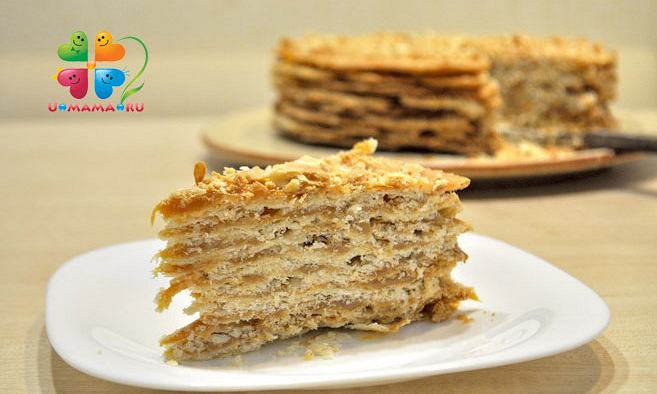 Торт «Степка-растрепка», пошаговый рецепт на ккал, фото, ингредиенты - daiquiri