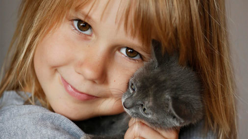 Как приучить ребенка ухаживать за домашним животным