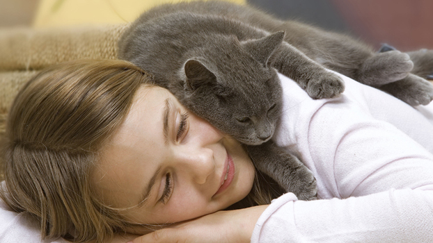 Глисты у кошки передаются ли человеку — какими гельминтами можно заразиться от кошек?