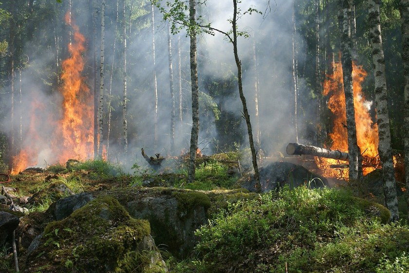 В Свердловской области продолжаются пожары, города затянуло смогом