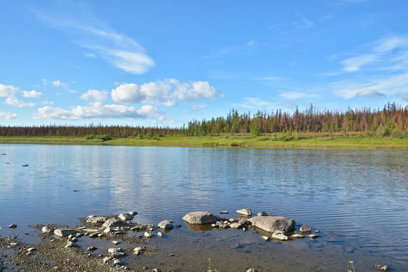 В Свердловской области нет водоемов, пригодных для купания