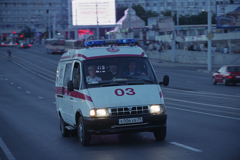 В Подмосковье подросток погиб, пытаясь перепрыгнуть через таксу