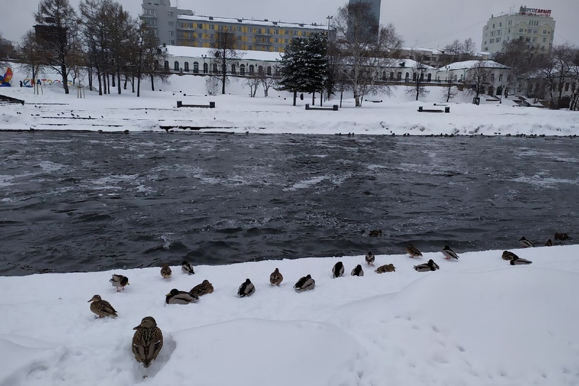 Достаём пуховики: в Екатеринбург возвращается зима