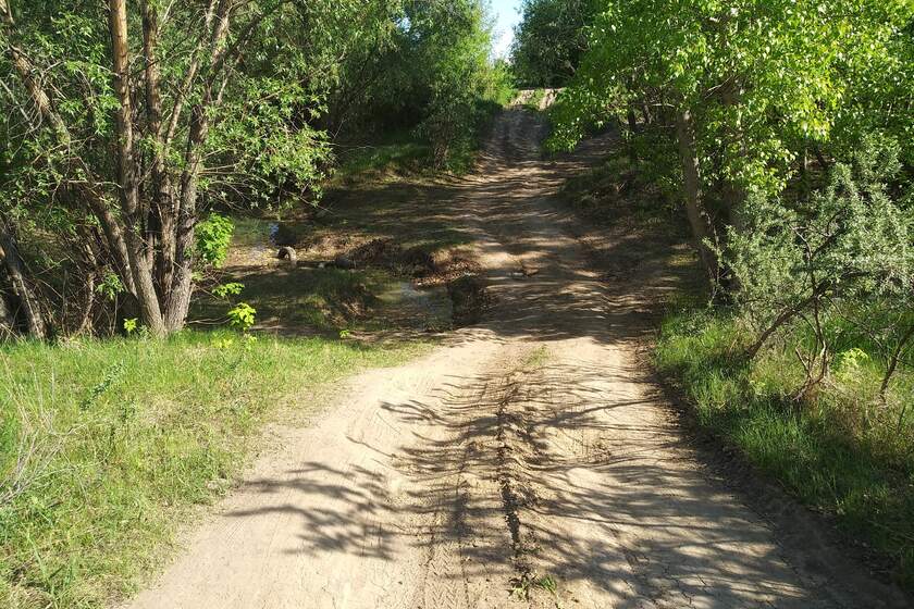 Запрет на посещение лесов установлен в Свердловской области