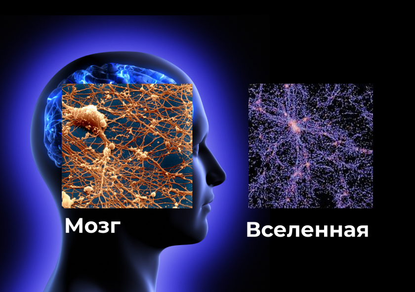 будущее по натальной карте мозг как пластичная глина впитывает в себя что его. Смотреть фото будущее по натальной карте мозг как пластичная глина впитывает в себя что его. Смотреть картинку будущее по натальной карте мозг как пластичная глина впитывает в себя что его. Картинка про будущее по натальной карте мозг как пластичная глина впитывает в себя что его. Фото будущее по натальной карте мозг как пластичная глина впитывает в себя что его