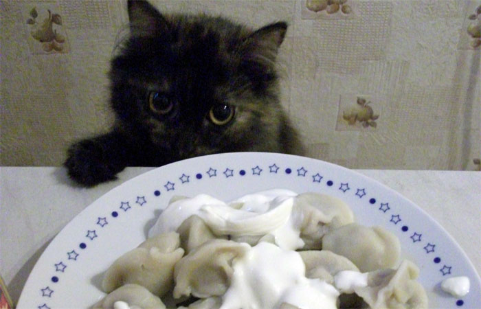 https://i.u-mama.ru/files/upload/d8380e9ea58b39d5e0e310226634f207.jpg